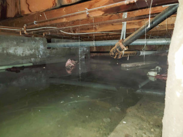 Best Ceiling water damage repair  in Belton, TX