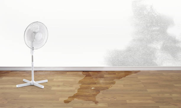 Best Flooded house restoration  in Belton, TX