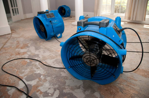 Best Residential water damage restoration  in Belton, TX