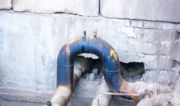 Best Professional water damage repair  in Belton, TX